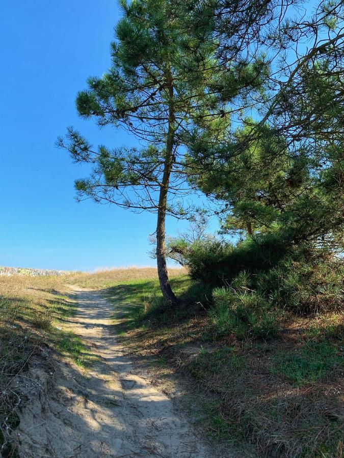 Medusablu121 Punta Marina Kültér fotó